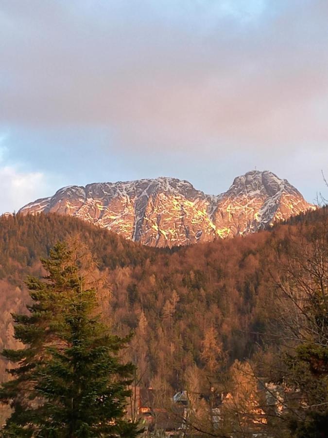 U Tylki Studio Z Widokiem Na Gory Zakopane Exterior foto