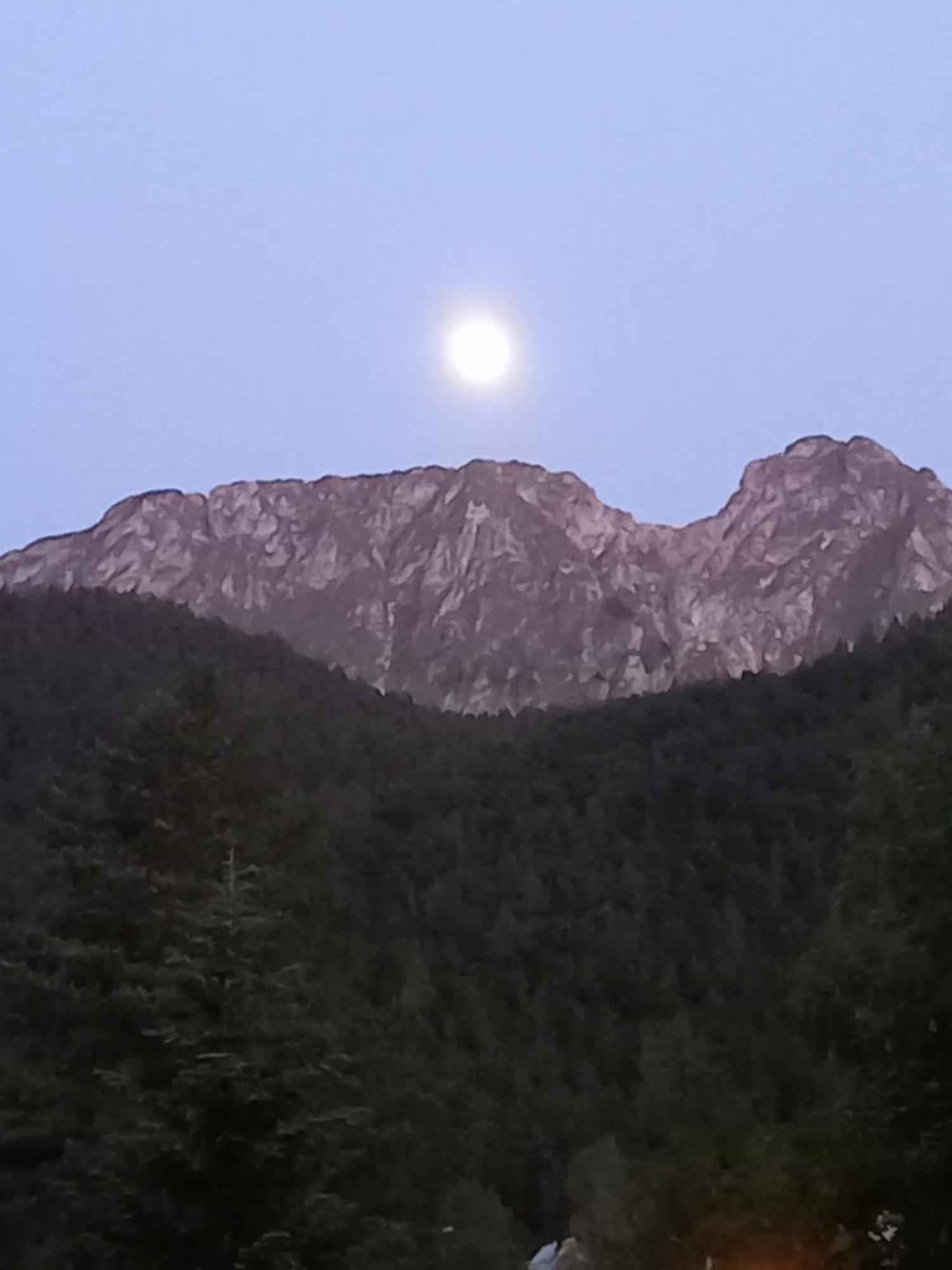 U Tylki Studio Z Widokiem Na Gory Zakopane Exterior foto